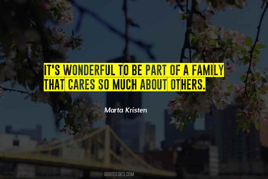 Quotes About Wonderful Family #166482