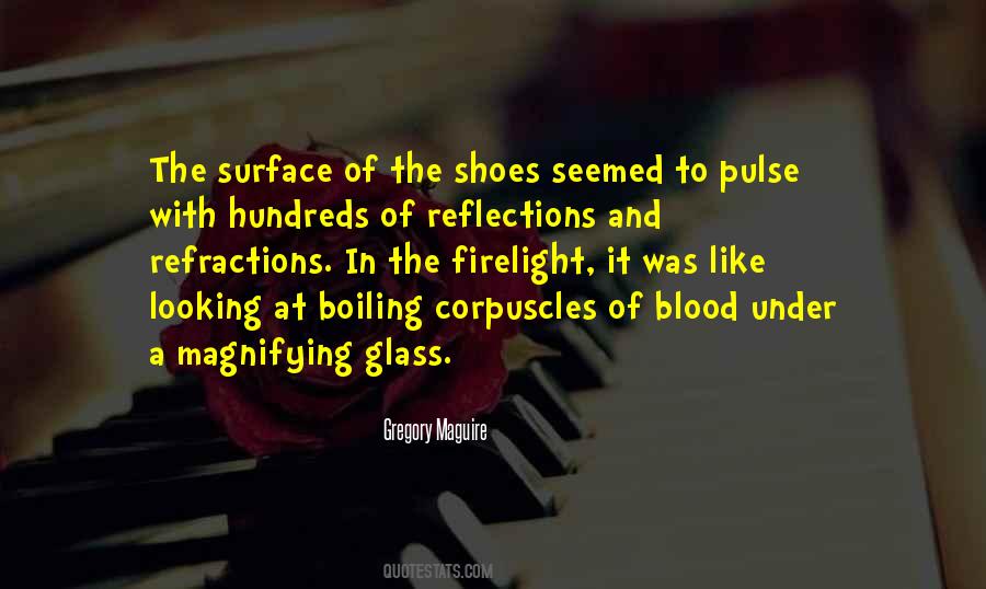 Refractions Quotes #1012199