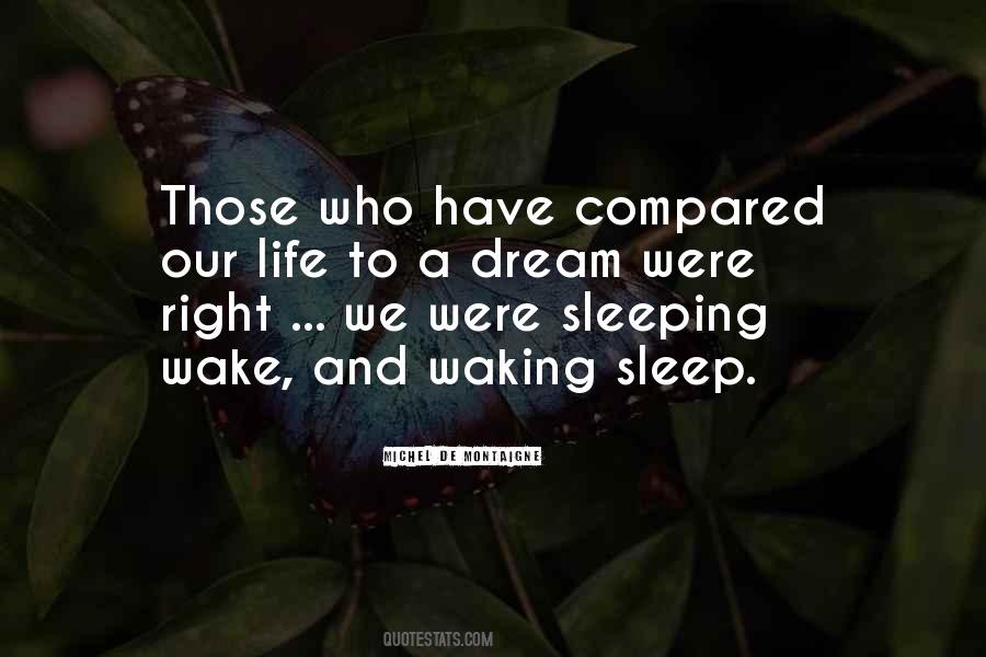 Quotes About Sleeping Dreams #19349