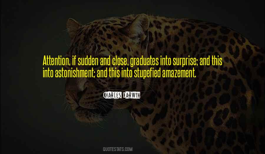 Quotes About Amazement #158252
