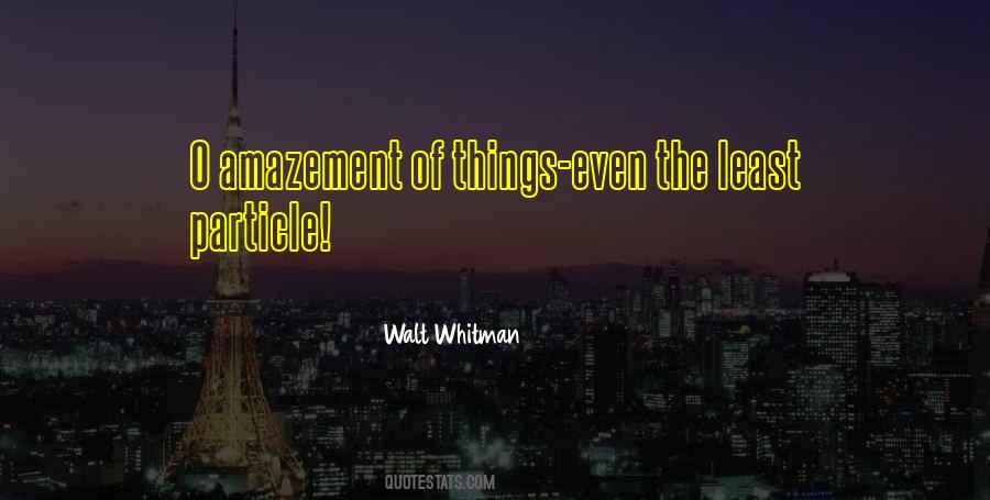 Quotes About Amazement #684692