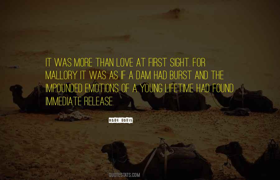 Quotes About Love At First Sight #1023246