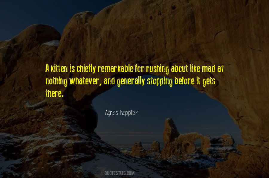 Repplier Quotes #675998