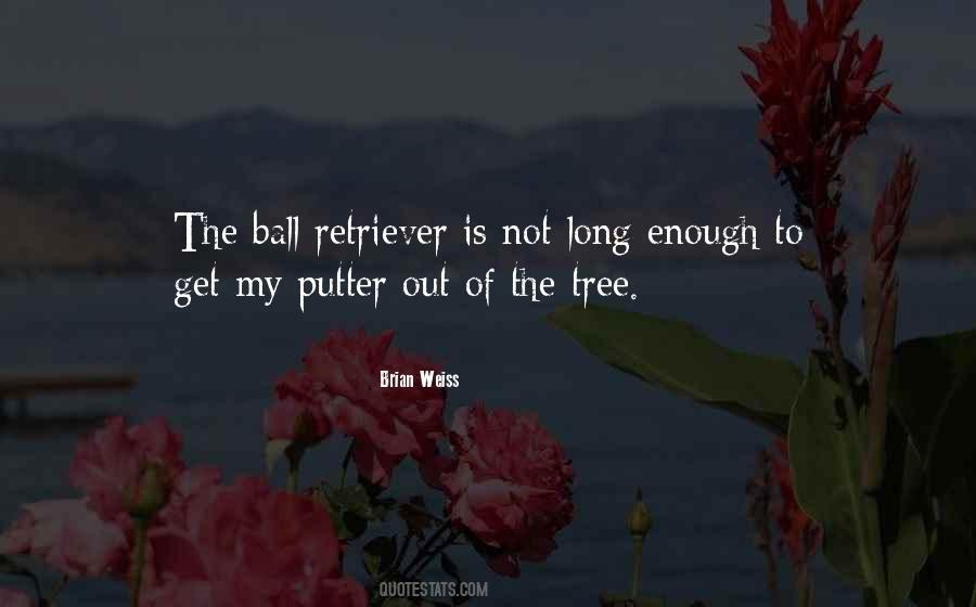 Retriever Quotes #352322