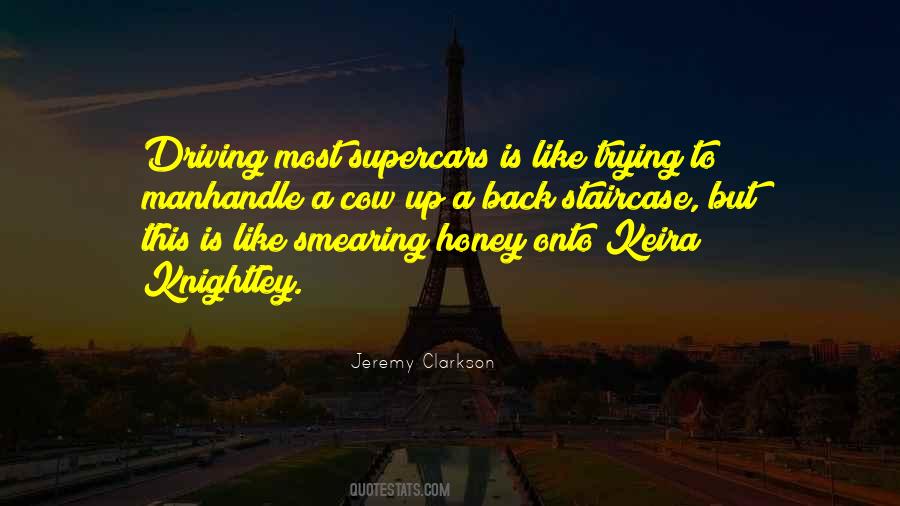 Revelries Quotes #1249572