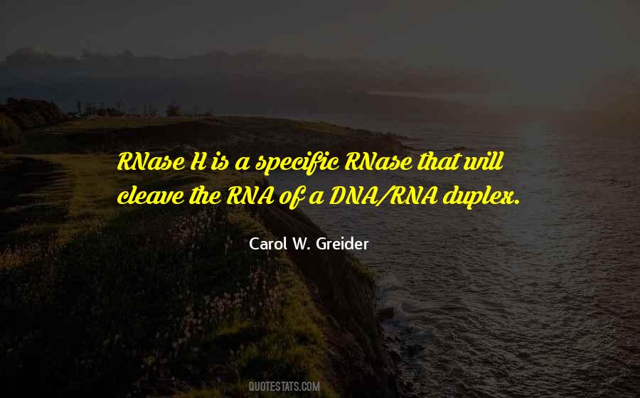 Rnase Quotes #1744098