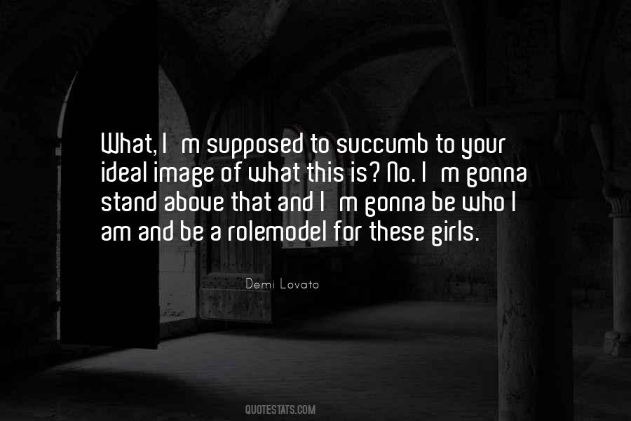Rolemodel Quotes #660429
