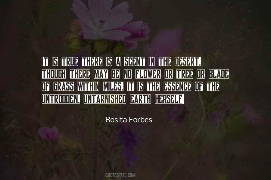 Rosita Quotes #1771064