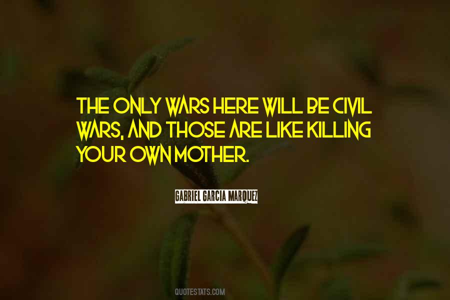 Quotes About Civil Wars #1639