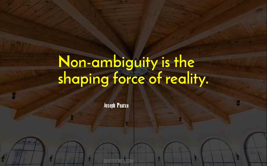 Quotes About Ambiguity #253351