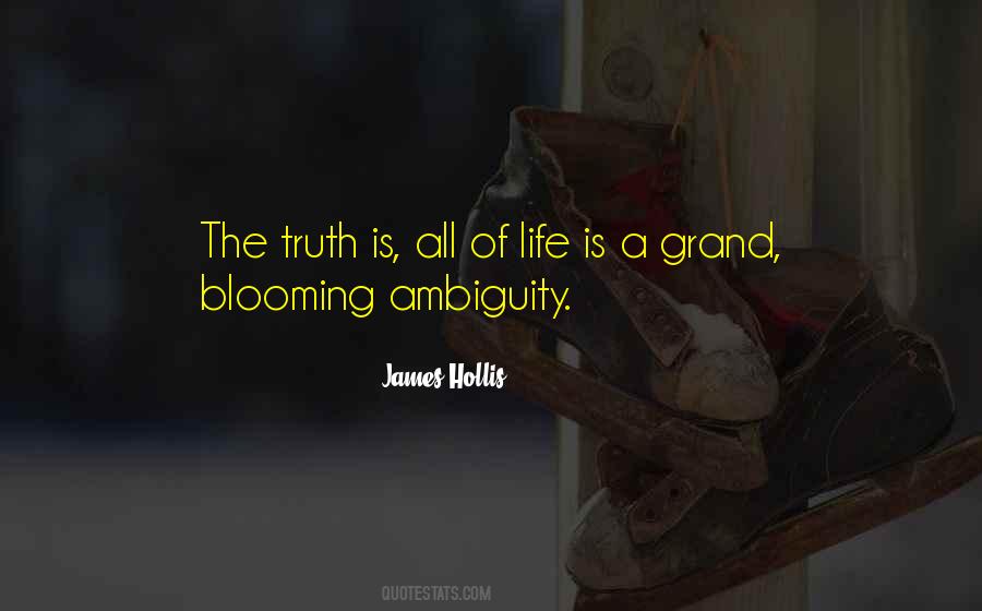 Quotes About Ambiguity #354311