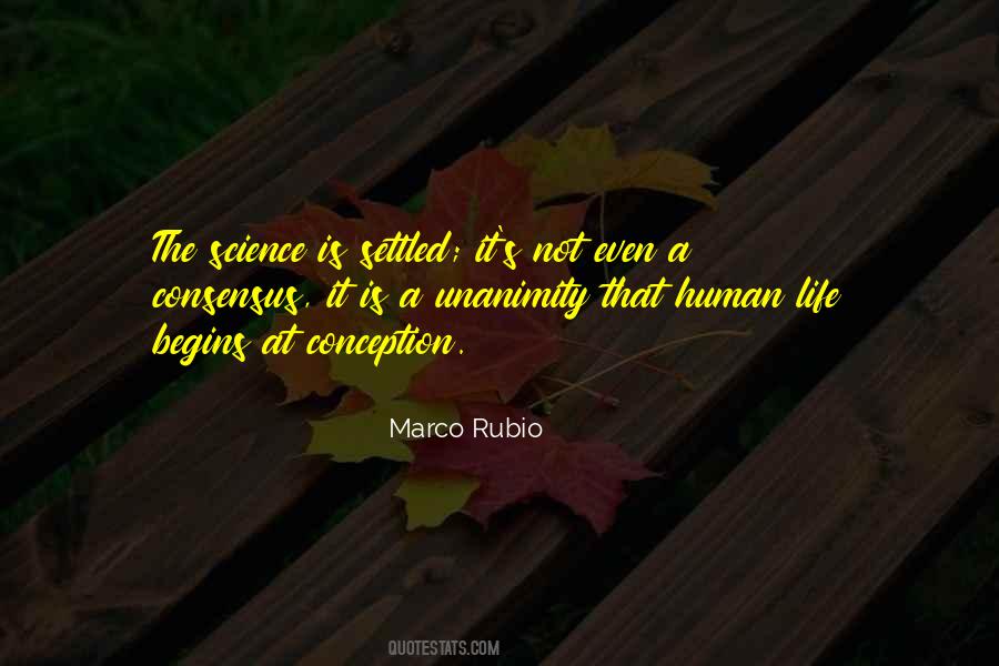 Rubio's Quotes #212820