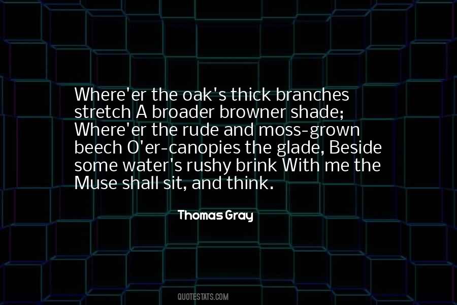 Rushy Quotes #975963