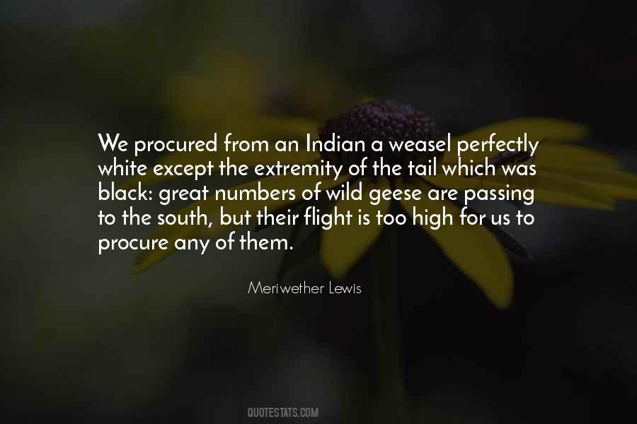 Quotes About Wild Geese #1049111