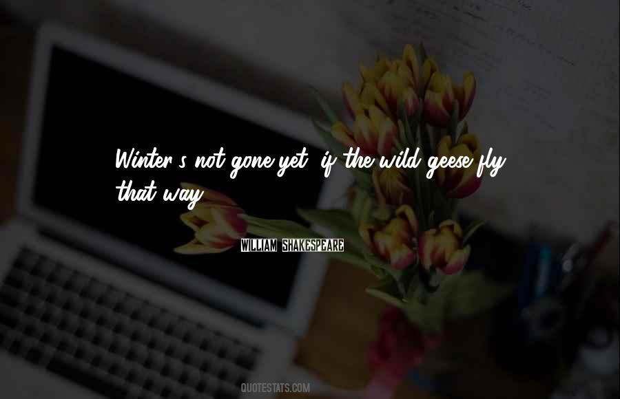 Quotes About Wild Geese #390963