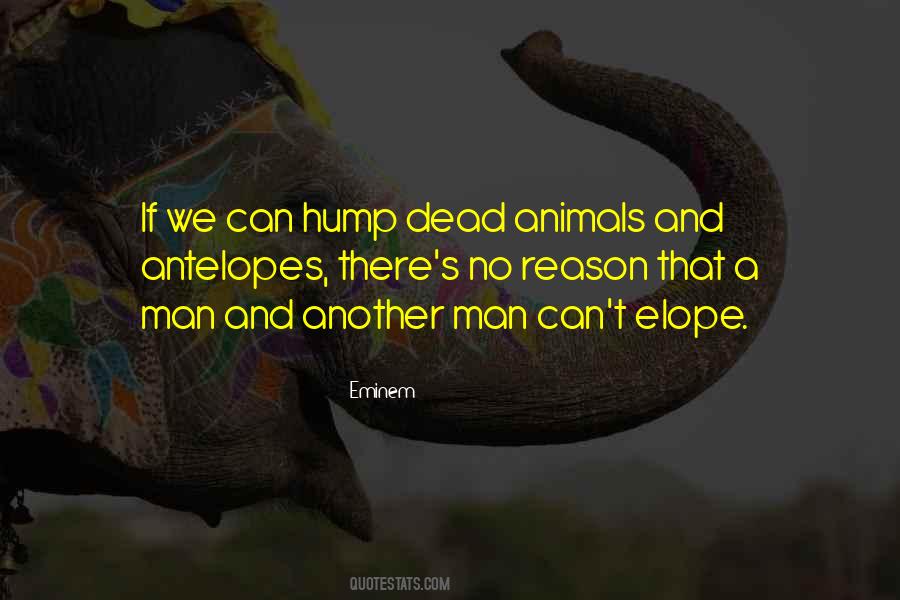 Quotes About Man And Animals #123000