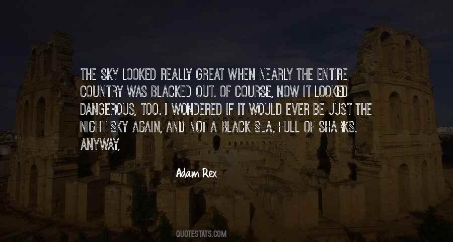 Quotes About The Night Sky #1375456