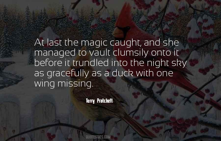Quotes About The Night Sky #1748078