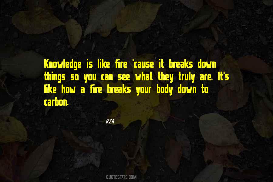 Rza's Quotes #697663