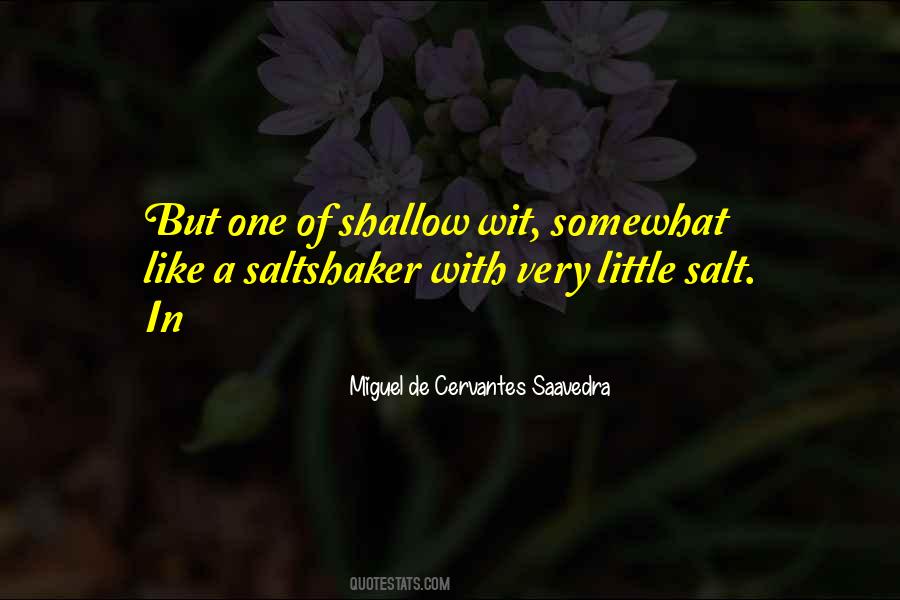 Saltshaker Quotes #1671890