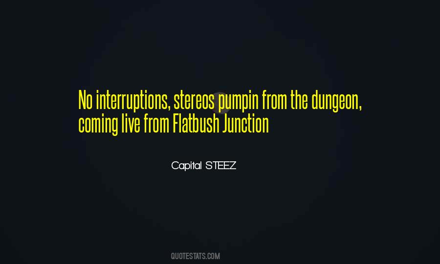 Quotes About Interruptions #1375536