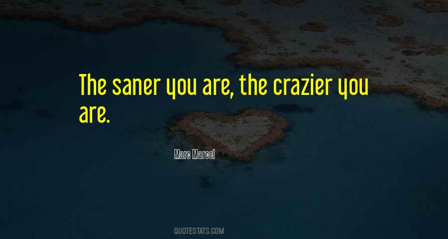 Saner Quotes #1260539