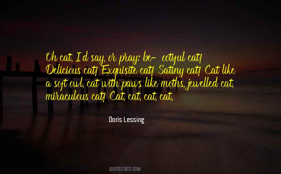 Satiny Quotes #1726158