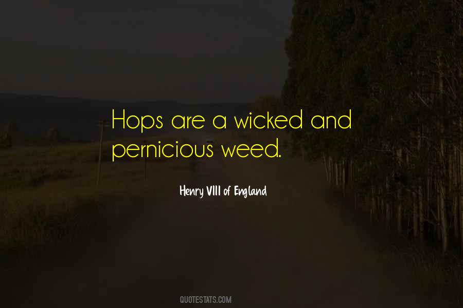 Quotes About Beer Hops #537288