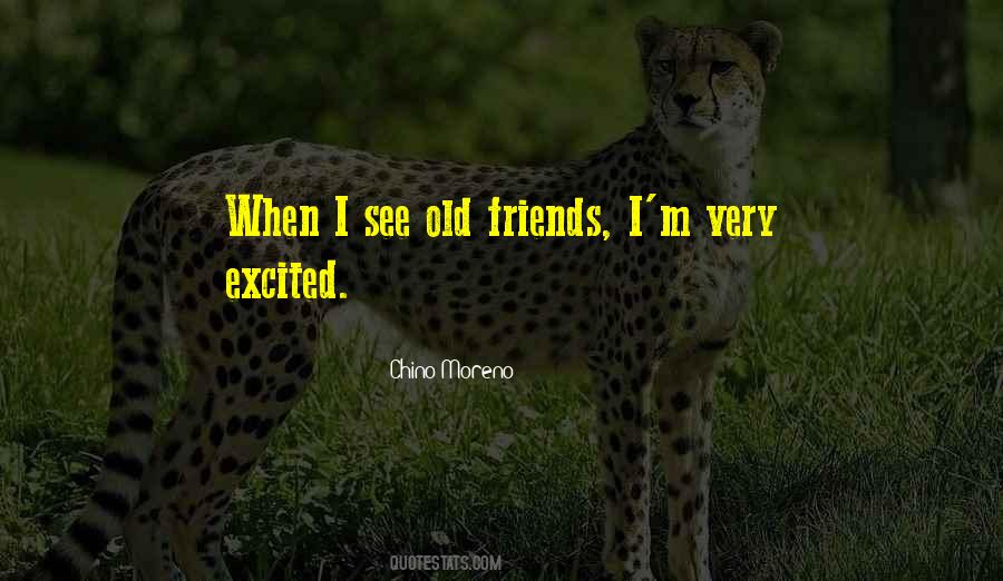 Quotes About Old Friends #1689391
