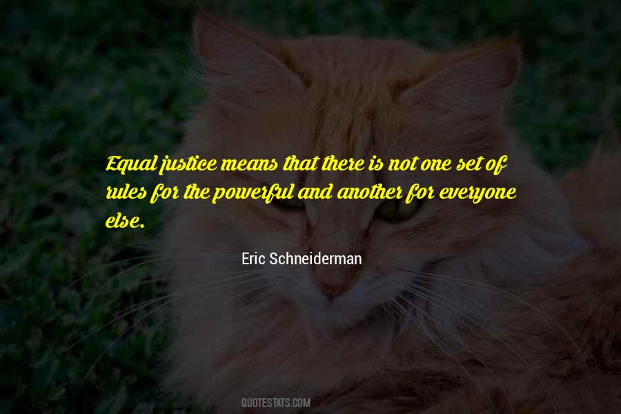 Schneiderman's Quotes #715501