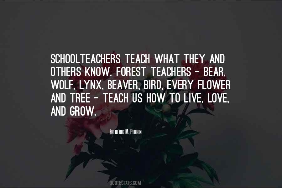 Schoolteachers Quotes #567490