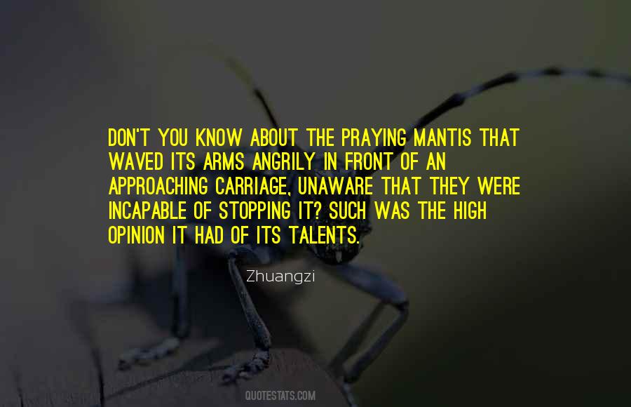 Quotes About Mantis #252782