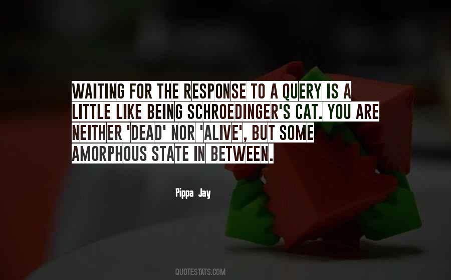 Schroedinger's Quotes #922706