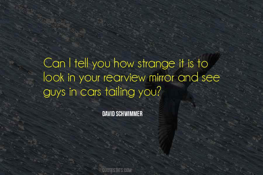 Schwimmer Quotes #1083333