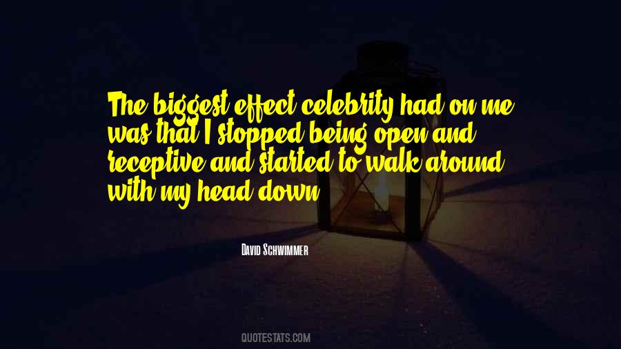 Schwimmer Quotes #1160561
