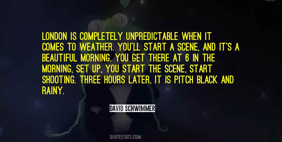 Schwimmer Quotes #1350061