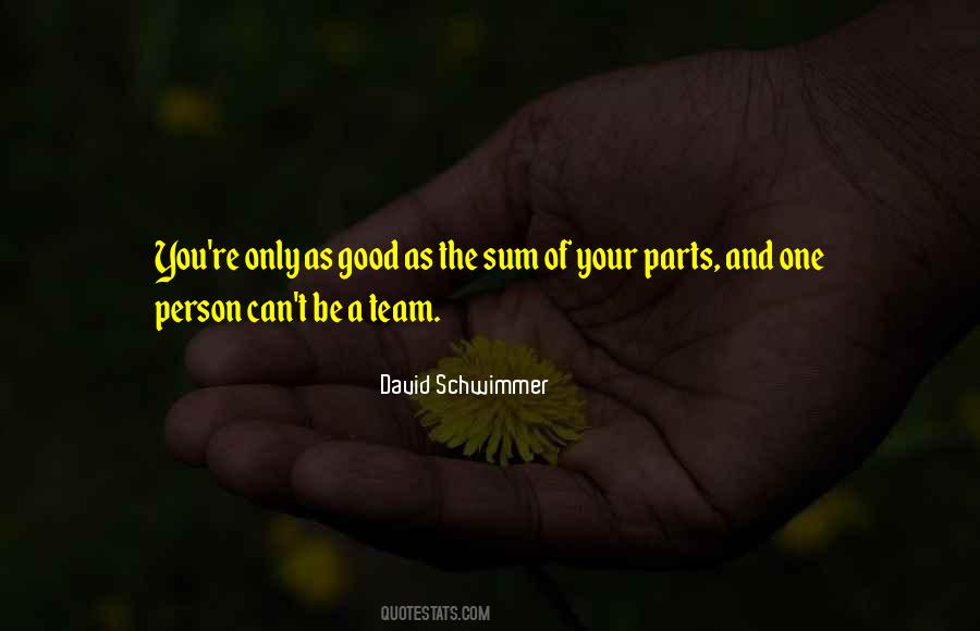 Schwimmer Quotes #309593