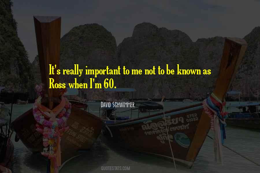 Schwimmer Quotes #445131