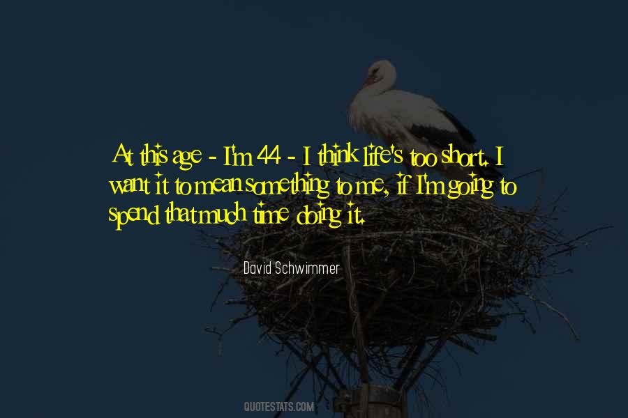 Schwimmer Quotes #597743