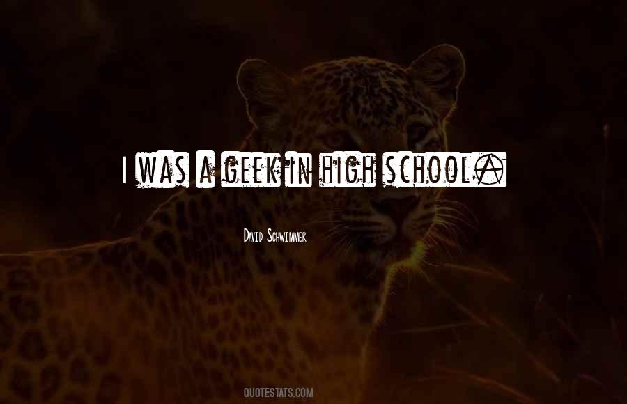 Schwimmer Quotes #692804