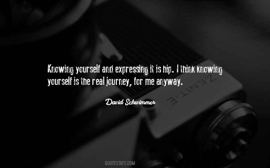Schwimmer Quotes #718358