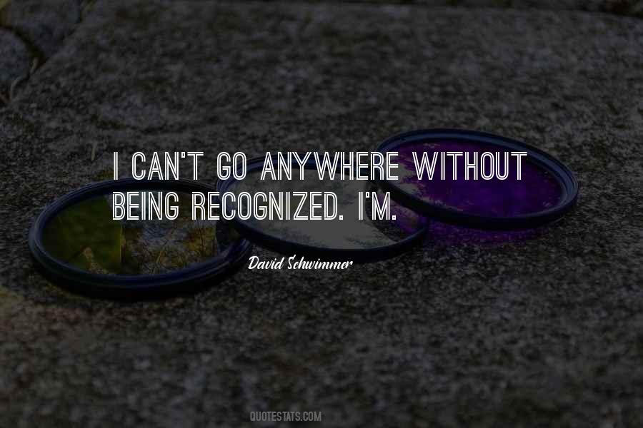 Schwimmer Quotes #72880