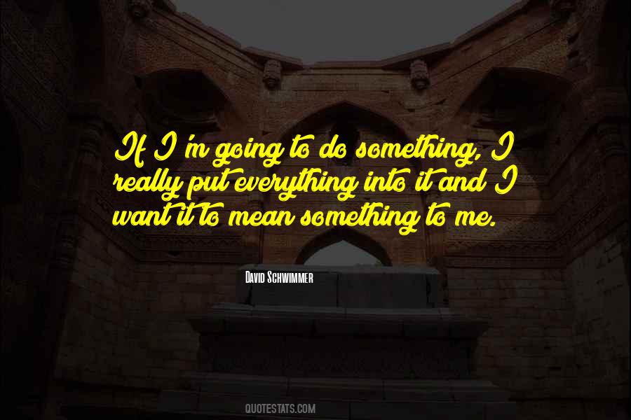 Schwimmer Quotes #805757