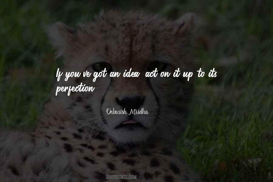 Quotes About The Idea Of Perfection #85409