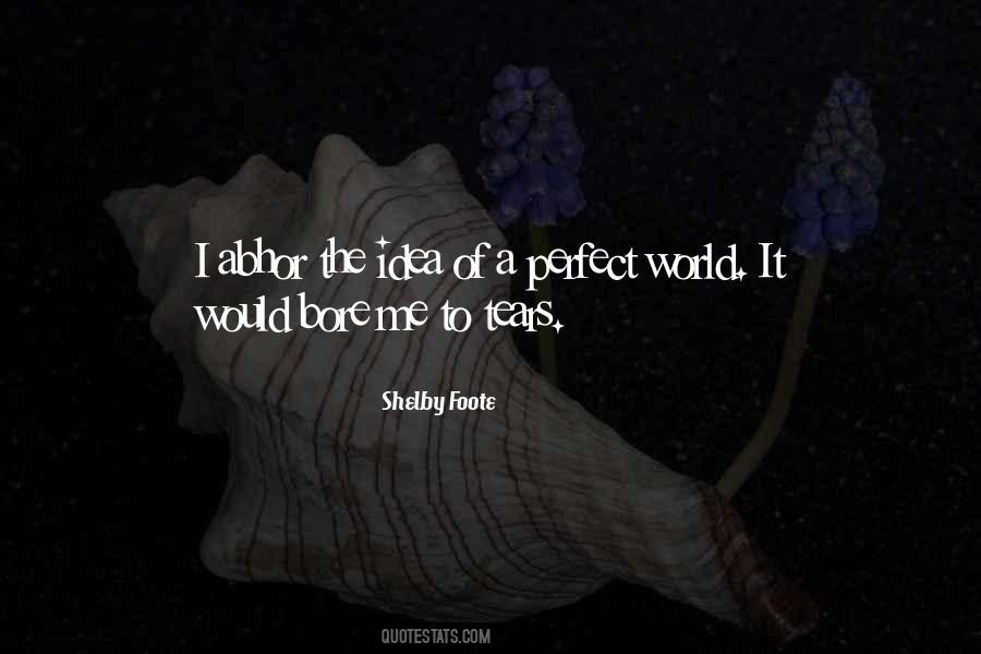 Quotes About The Idea Of Perfection #964841