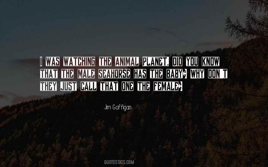 Seahorse Quotes #770146