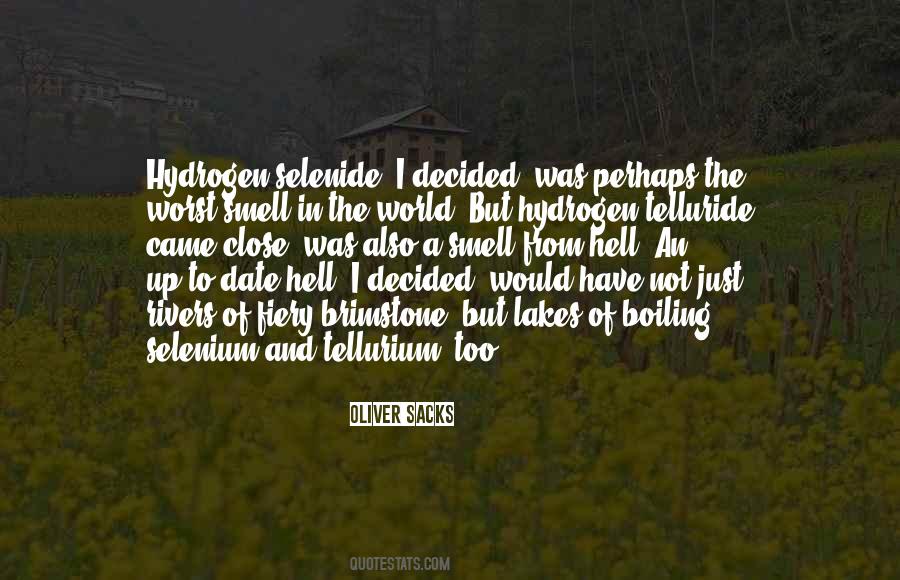 Selenide Quotes #486897