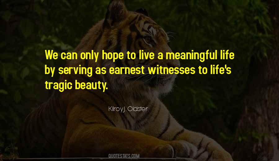 Quotes About Meaningful Life #1865330