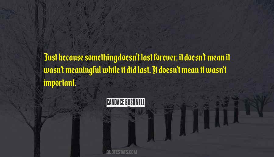 Quotes About Meaningful Life #228968 Quotes About Meaningful Life #228968