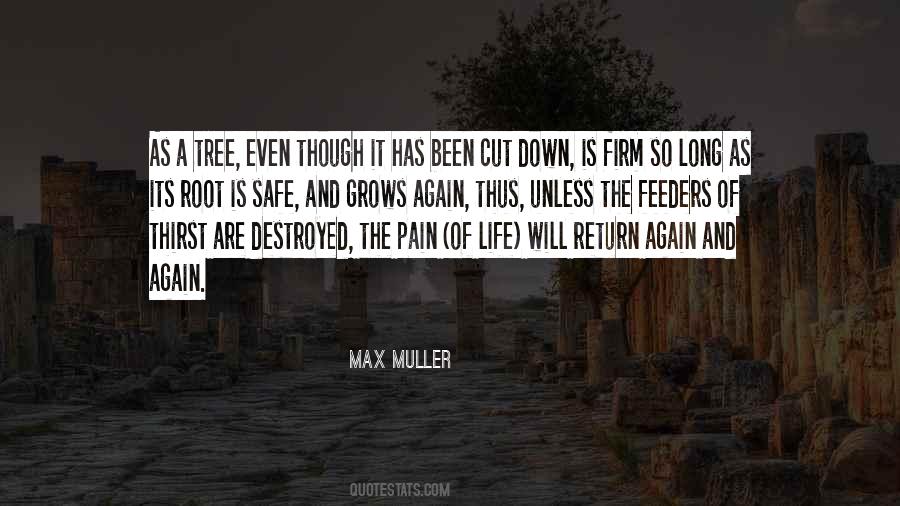Quotes About Life Of A Tree #103539